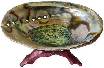5&quot;- 6&quot; Abalone Shell incense burner with stand