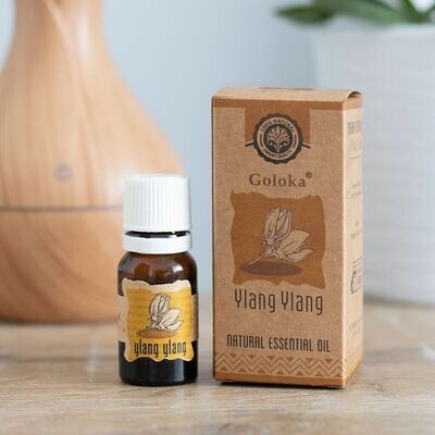 Ylang Ylang Goloka Oil (10ml)