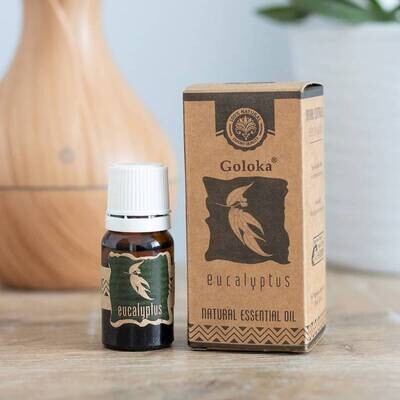 Eucalyptus Goloka Oil (10ml)