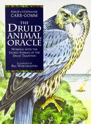 Druid Animal oracle deck by Carr-Gomm &amp; Carr-Gomm