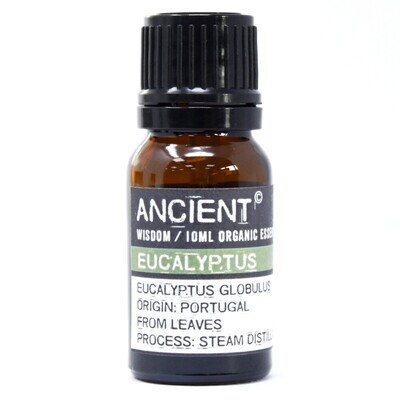 Eucalyptus Organic Essential Oil (10ml)