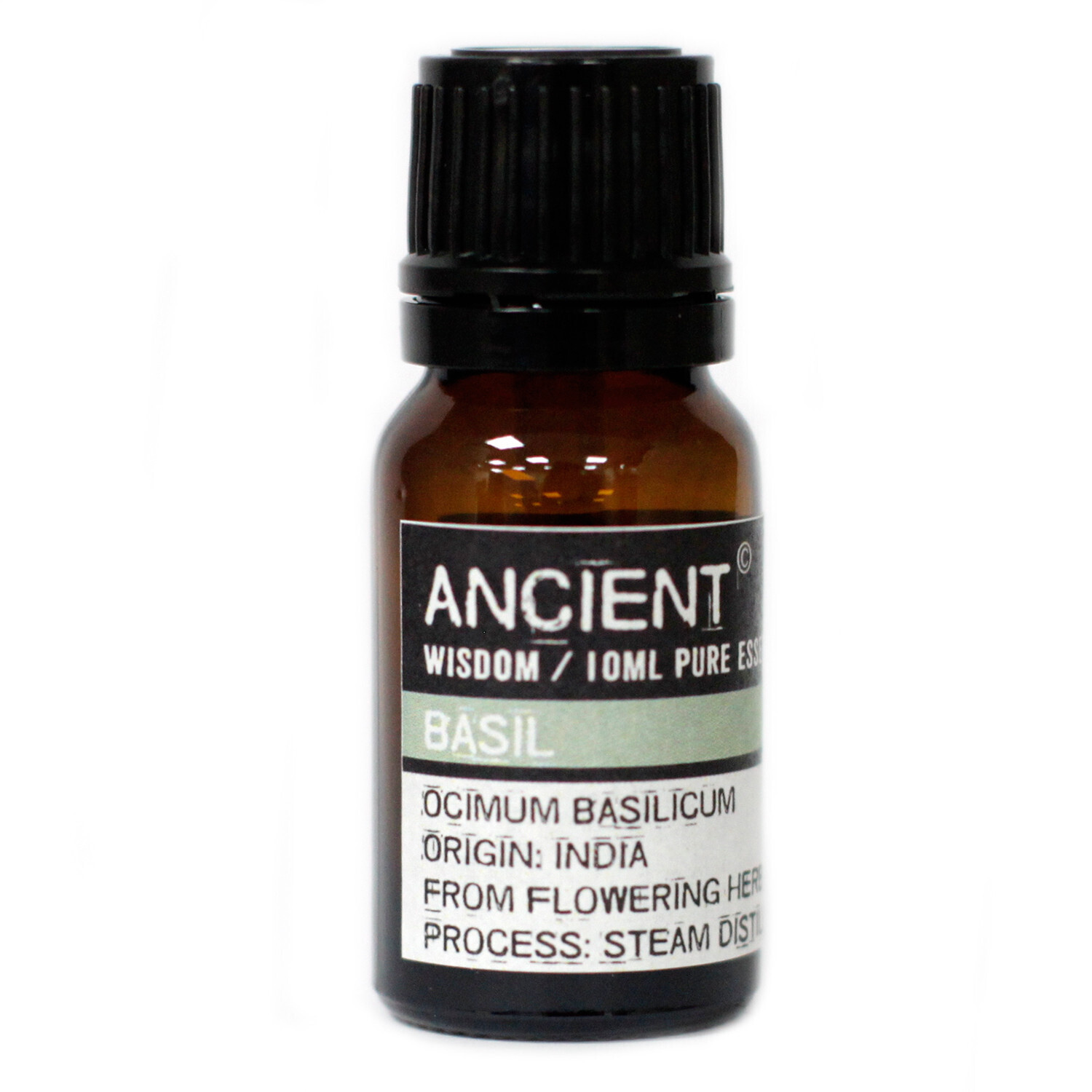 Basil Essential Oil