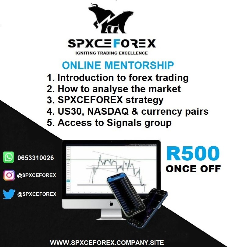 Online Mentorship