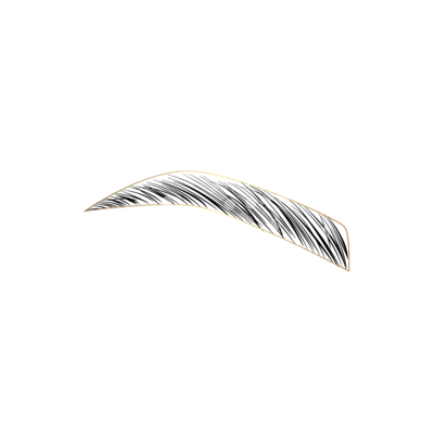 Augenbrauen