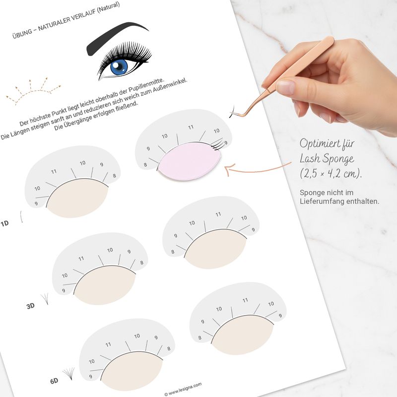 Lash Mapping Trainer Tool | Übungsbögen: Richtungsführung & höchsten Punkt | 4 Seiten PDF