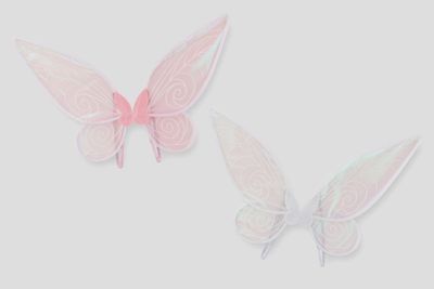 Fairy Wings