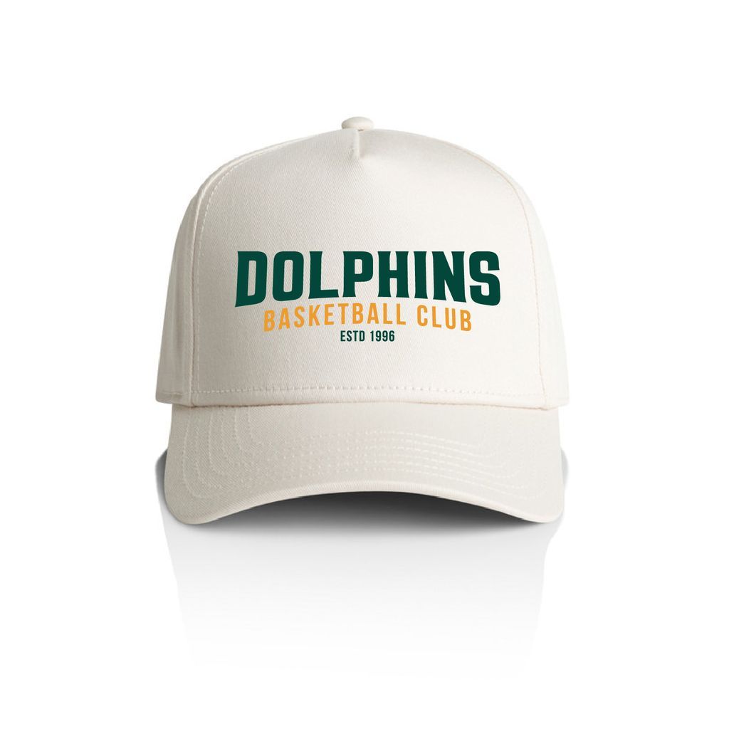 Dolphins Basketball Cap- Snap back
