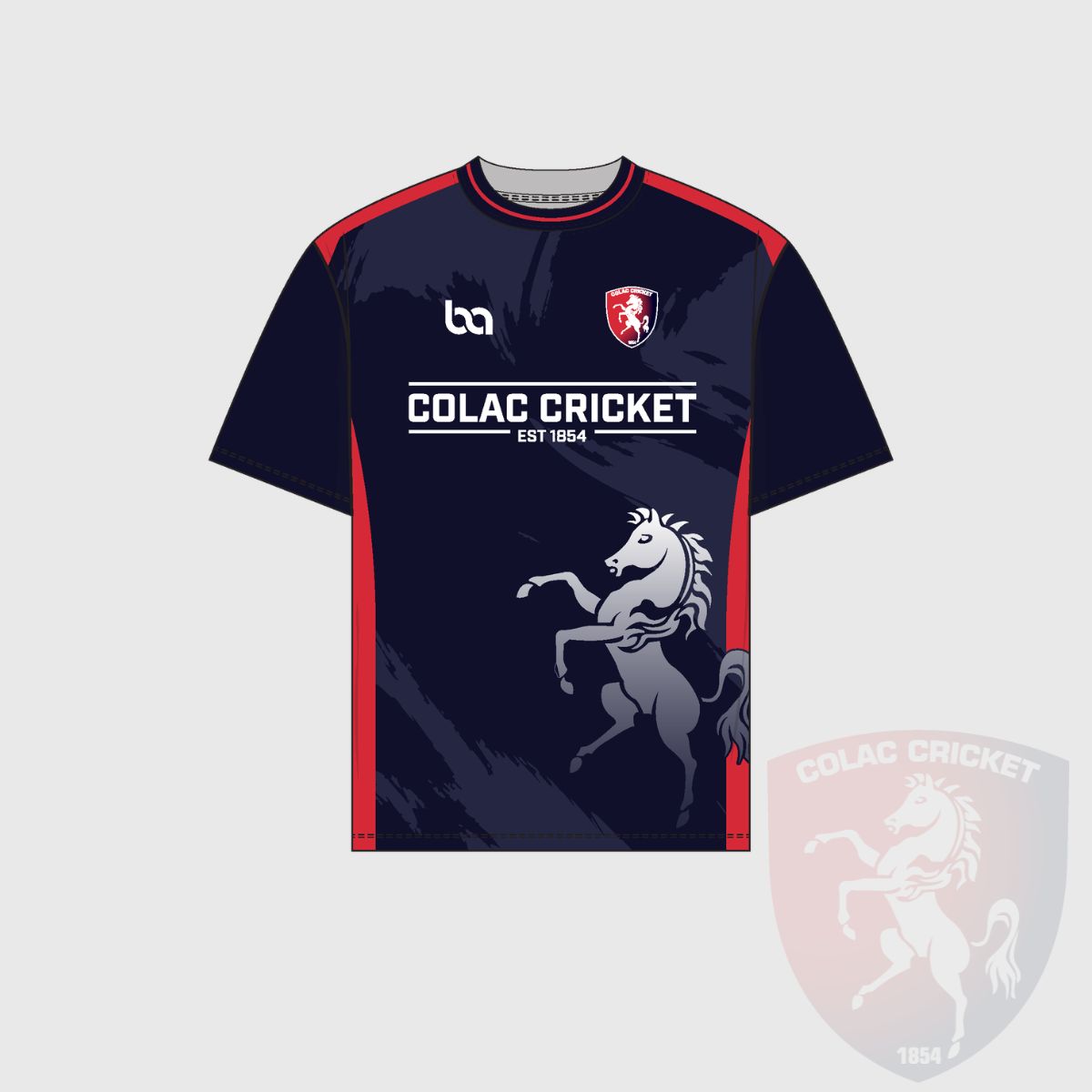 Colac Cricket Club Training Tee, Size: 8k