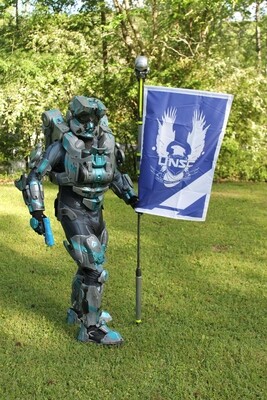 Video Game Flags