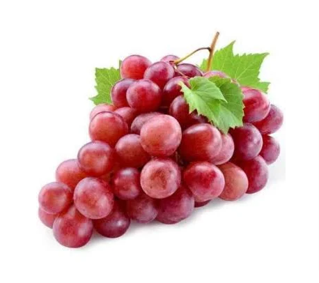 Fruit