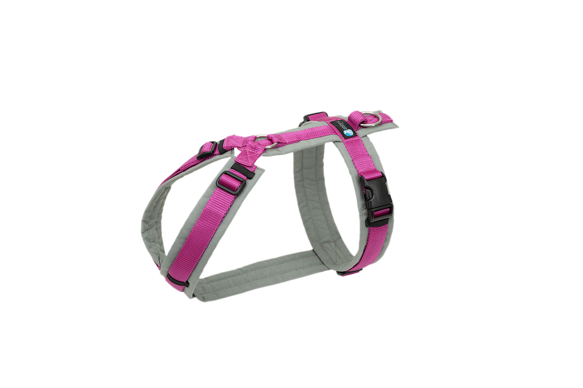 anny.x - Brustgeschirr Fun ? grau/pink ? M