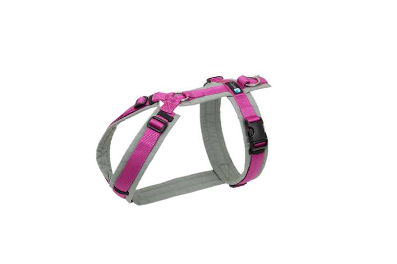 anny.x - Brustgeschirr Fun 🐶 grau/pink 🐶 M anny.x - Brustgeschirr Fun 🐶 grau/pink 🐶 M