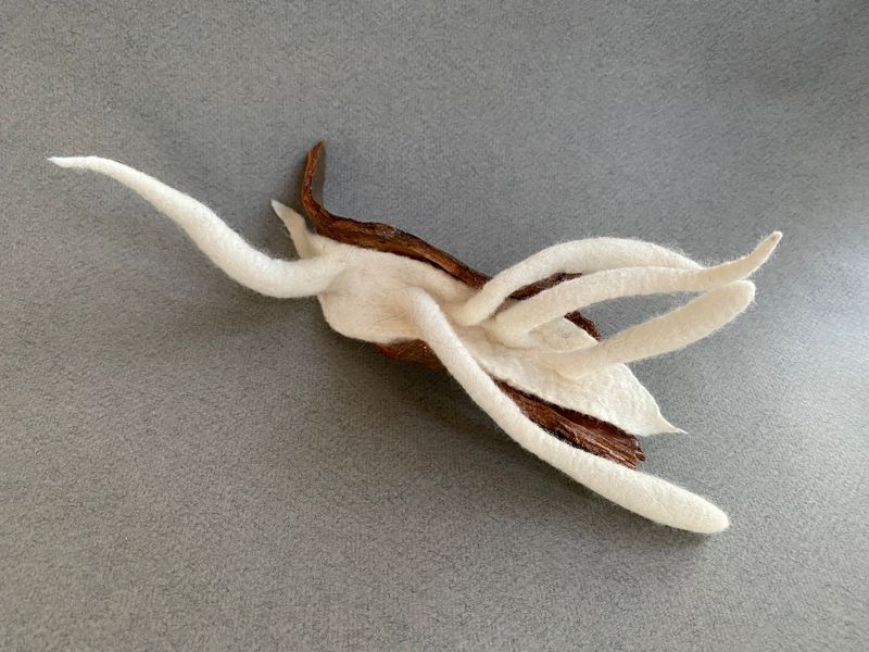 Metamorfosis