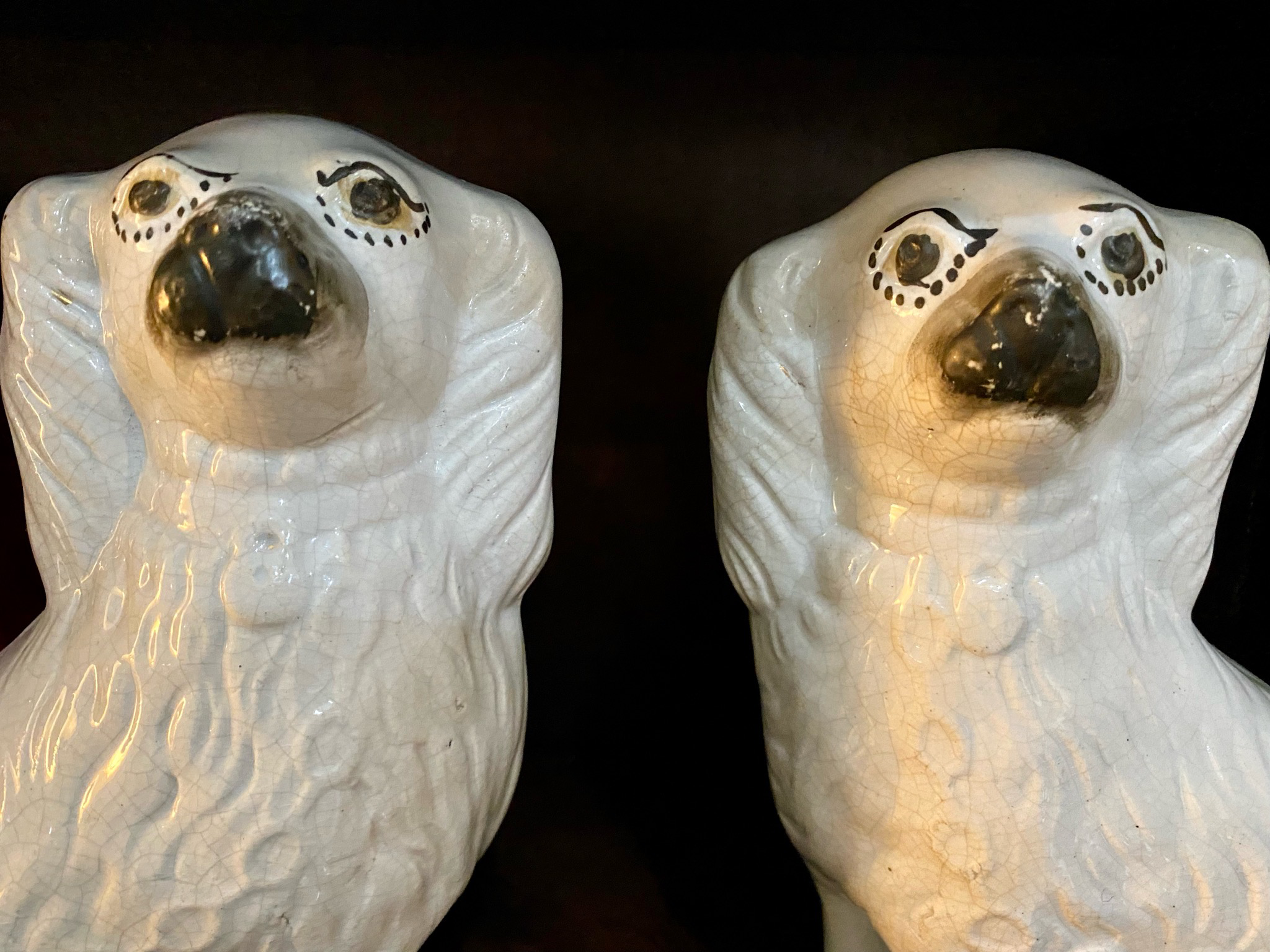 Staffordshire Dogs, Staffordshire Spaniels, Comforter Spaniel