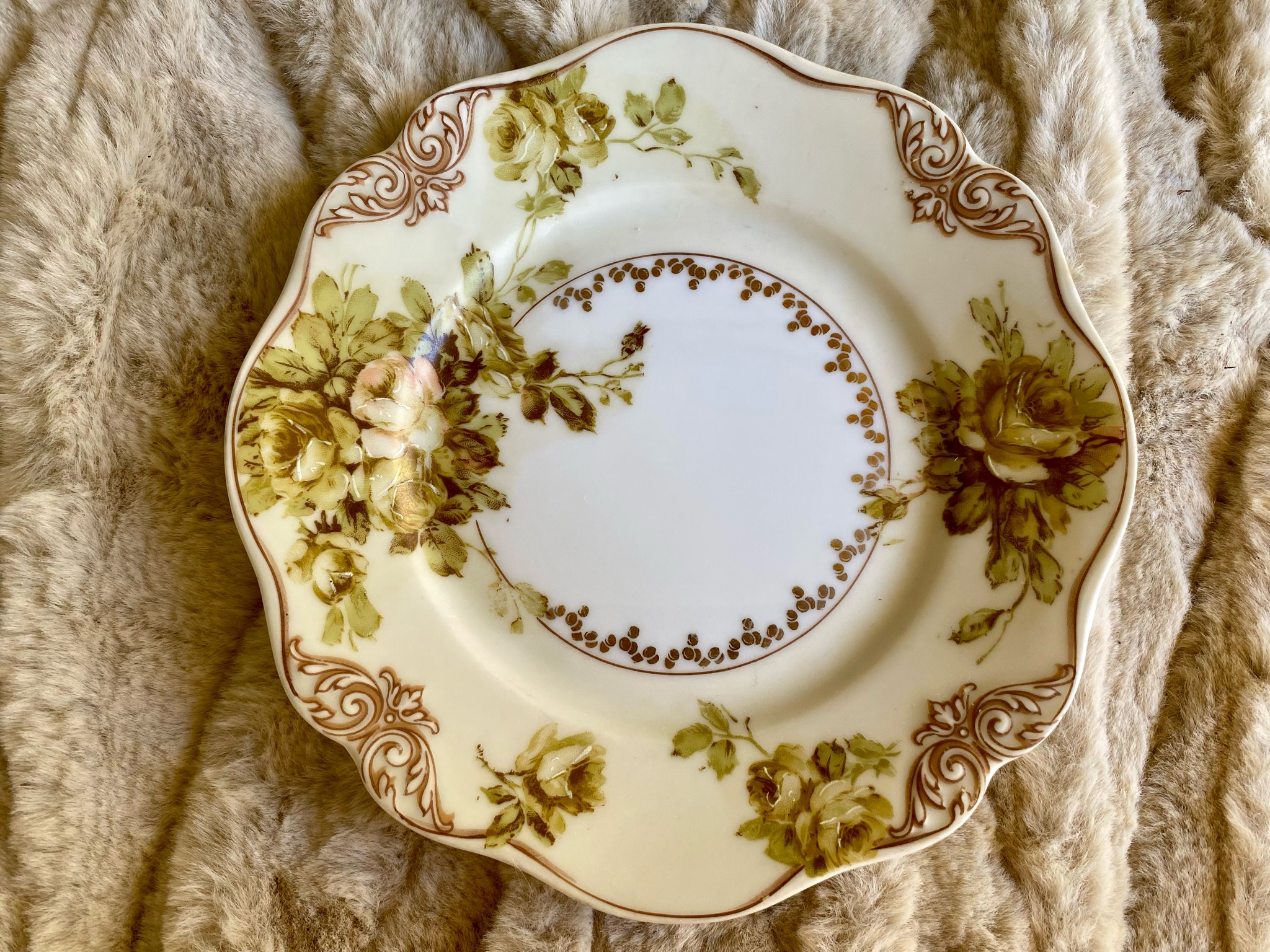 Hermann Ohme,  Silesia Hand Painted Plates, Silesia Old Ivory