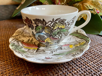 J and G Meakin Ironstone Cup and Saucer