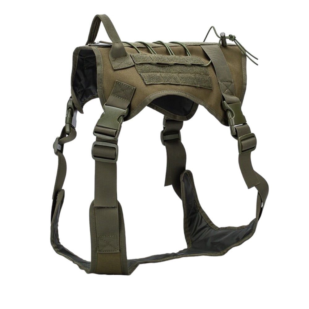 Legend Dog Vest
