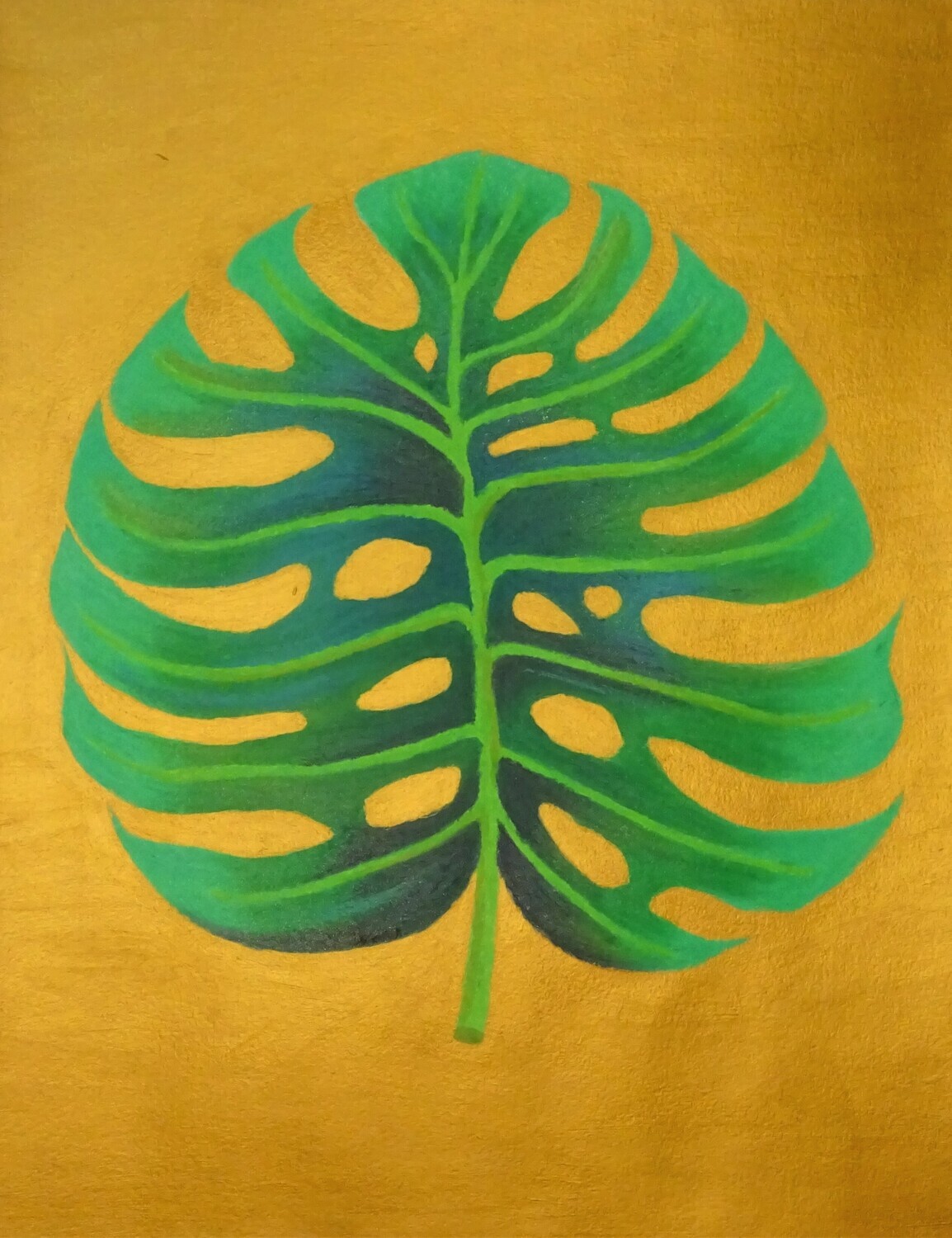 Monstera 1