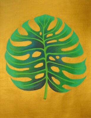 Monstera 1
