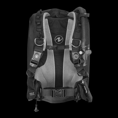 Rogue BCD