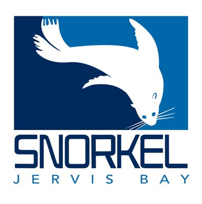 Snorkel