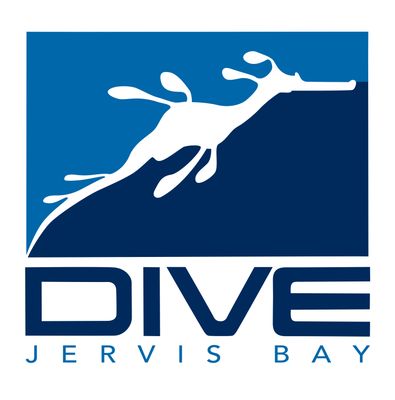 Dive