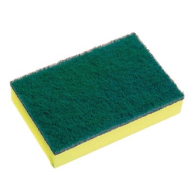 Scourer/Sponge 150x100 Green | E