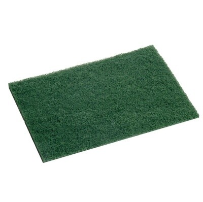 Scourer Pad Standard Green 23x15cm | E