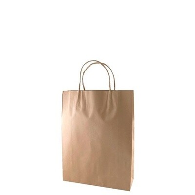 Bag Carry Kraft Twist Small 350x260x90 | E