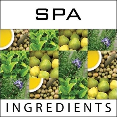 Petite Spa Shampoo 20ml 8012 | P / Carton (300)