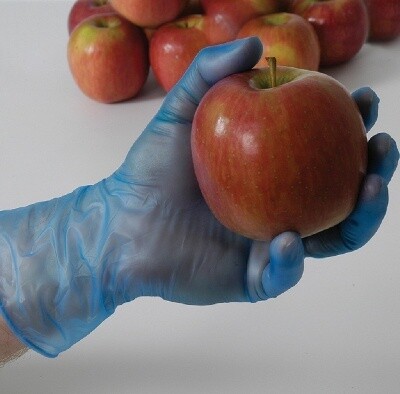 Glove Vinyl Blue Lightly Powdered | B