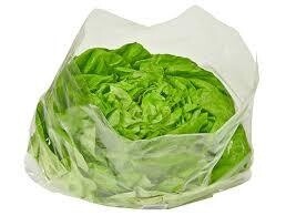 Bag Plastic Lettuce Vented 360x300mm | P / Sleeve (100)
