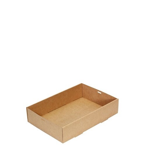 Catering Tray 2 (Medium Rectangle) | E, Size: Carton (100)