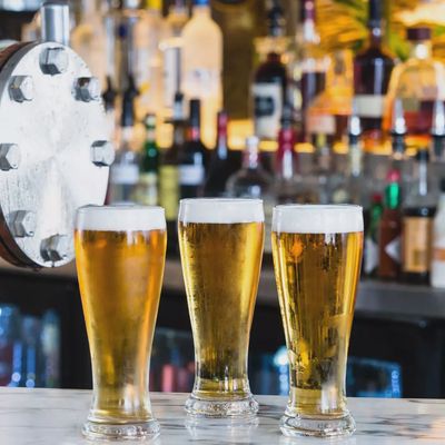 Glass Beer Brasserie (425ml) | T / Carton (24)