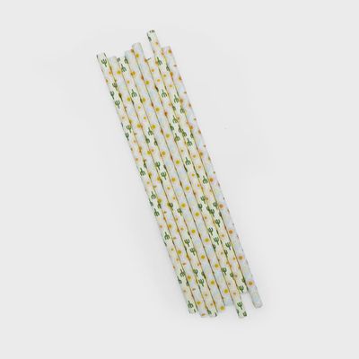 Straw Paper Regular 5ply (Strong) Oasis Mix | B