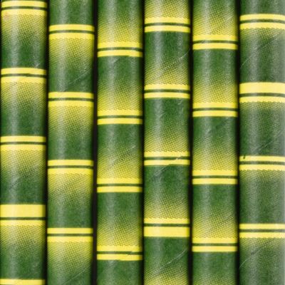 Straw Paper Jumbo 3ply Bamboo Print | B