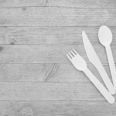 Cutlery (Disposable)