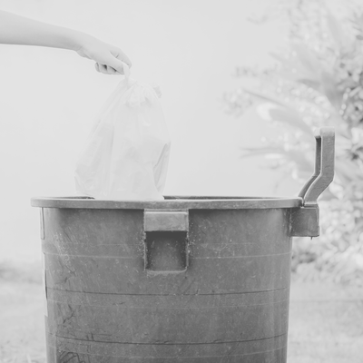 Bins and Garbage Bags