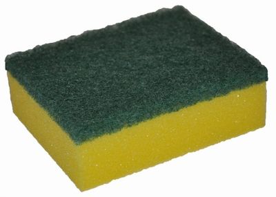 Scourer/Sponge Stay Fresh Individually Wrapped | E