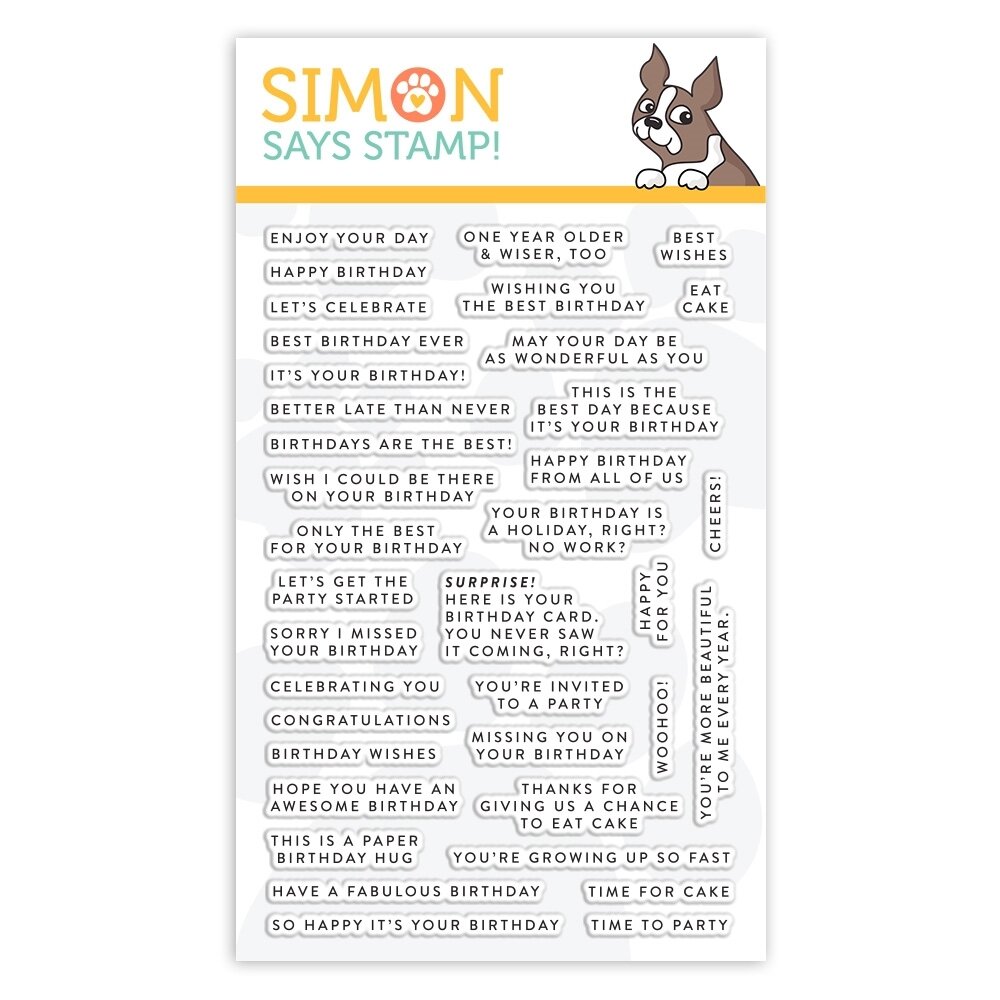 Simon Says Stamp TINY WORDS BIRTHDAY Clear Stamp Set