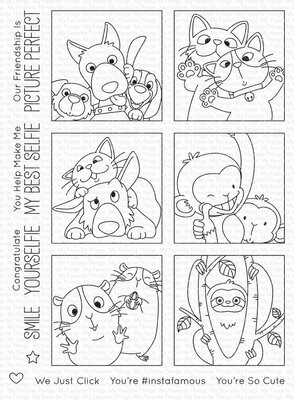 My Favorite Things BB PICTURE PERFECT Clear Stamp Set