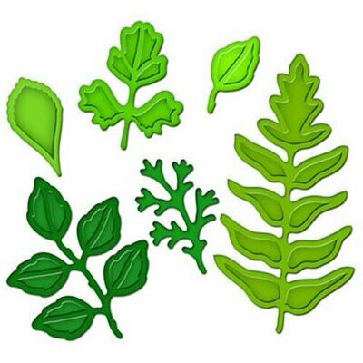 Spellbinders FOLIAGE Shapeabilities Etched Dies