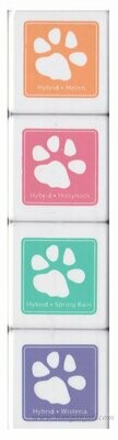 Simon Says Stamp SPRING FLOWERS Hybrid Ink Cube Set