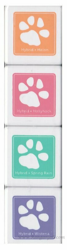 Simon Says Stamp SPRING FLOWERS Hybrid Ink Cube Set