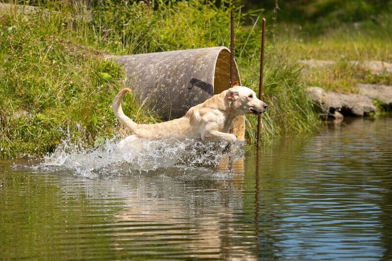 260810 Trainingsferien Rieseralm / Steiermark 10.-16.08.2026