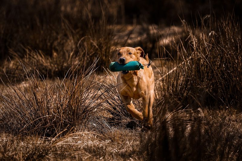 260420 Trainingstage Bodensee 20.-23.04.2026 Variante geteilte große Wohnung