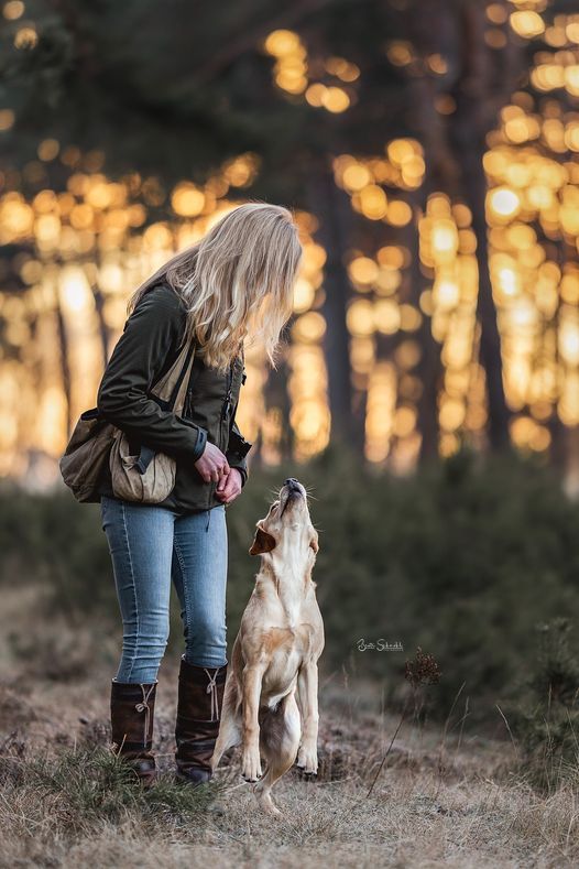 260305 Dummybasics Bootcamp 03.-05.03.2026