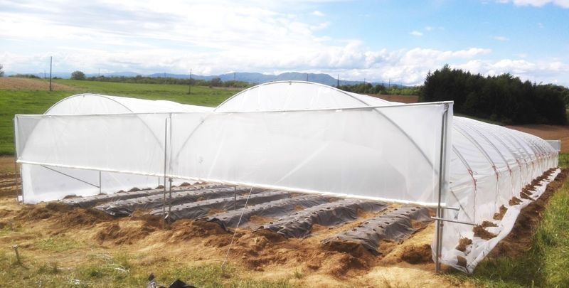 TOP Rastlinjak - TOP PROFI JAGODA - za profesionalne proizvajalce jagod- jagodičevja in zelenjave- 2 Tunela 4,7 x 20 m