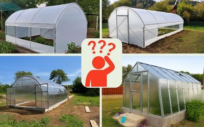 Top 5 rastlinjakov: katerega izbrati glede na vaše potrebe