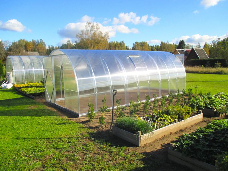 Rastlinjak EcoSlider | ES širine 3,0 m | Predhodno montirana serija